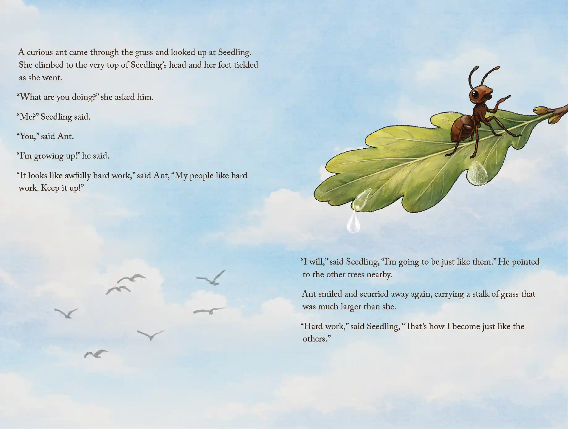 Acorn spread 9